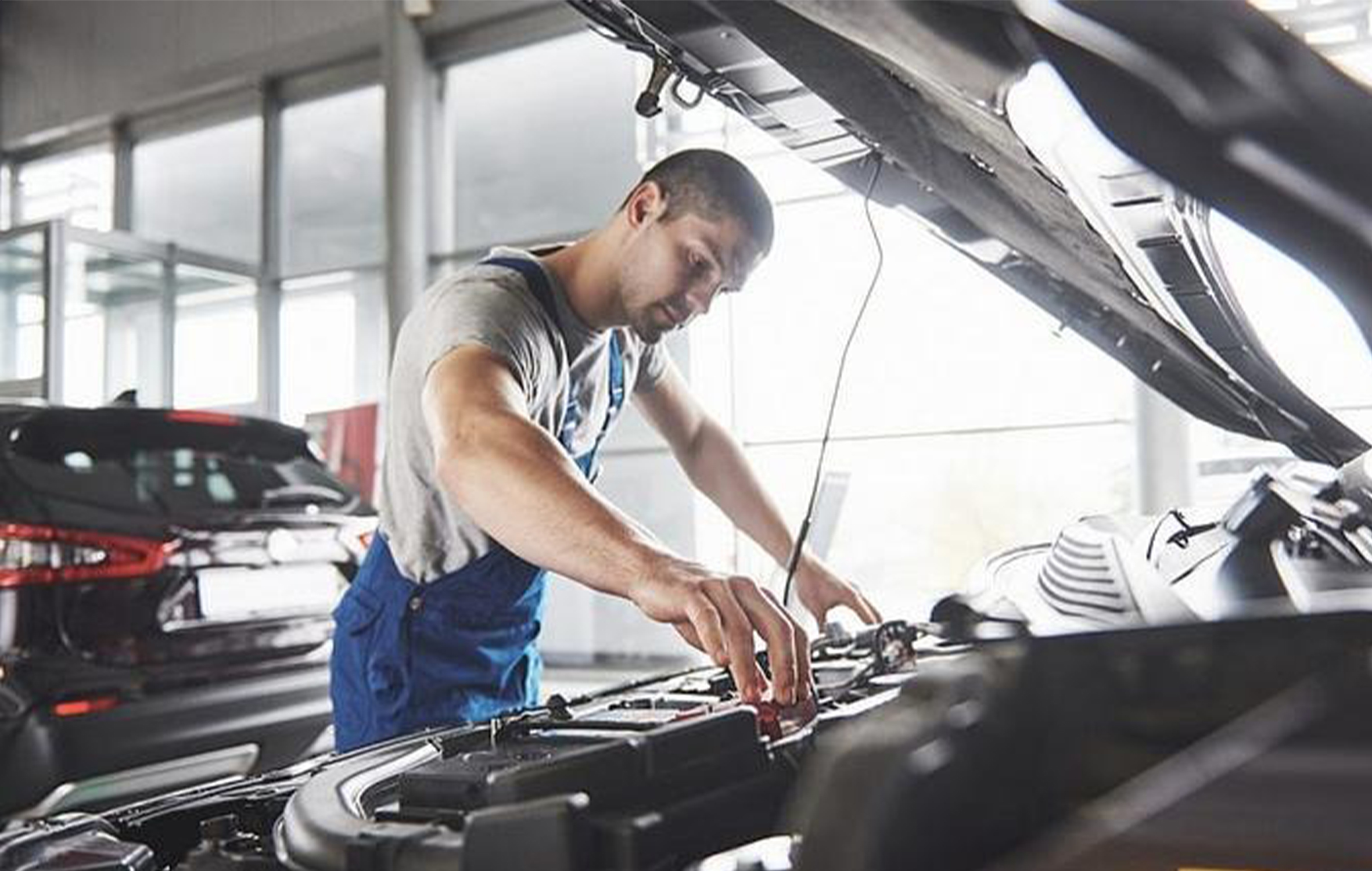 شحنة مواد غذائية